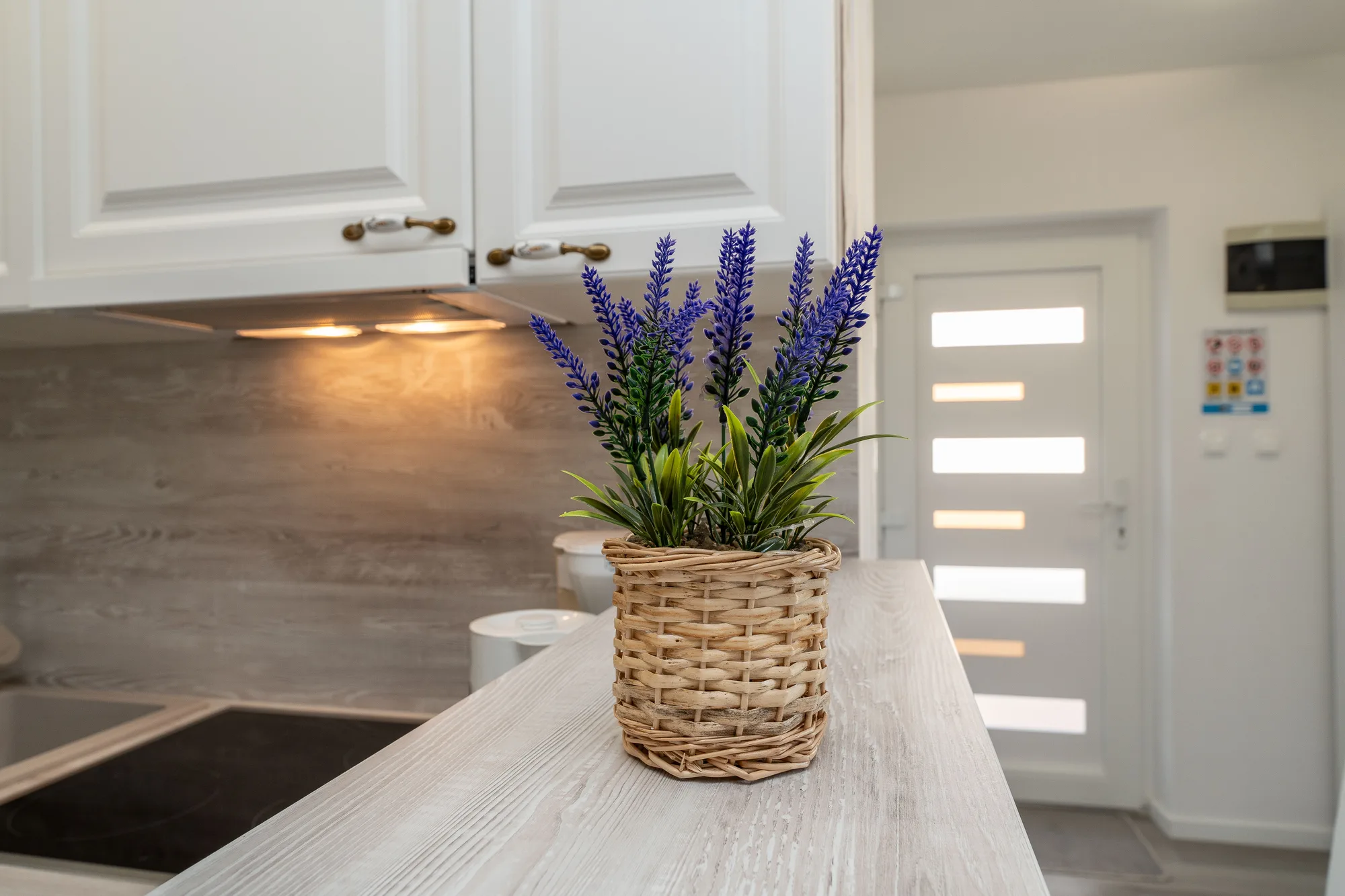 Apartman Leo — fotografija 16